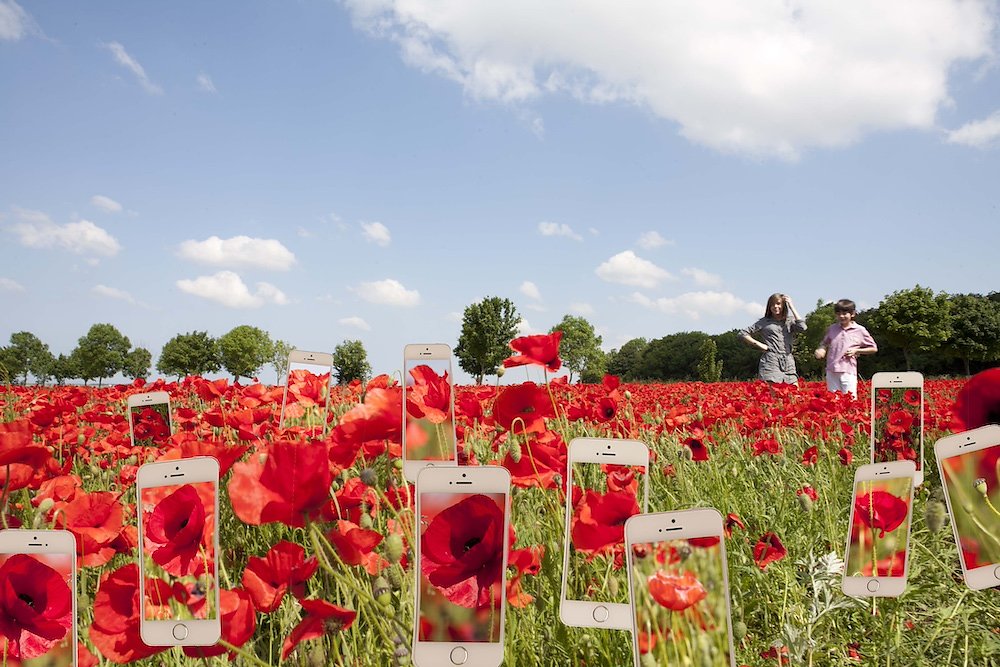 COQUELICOTS-V2.jpg